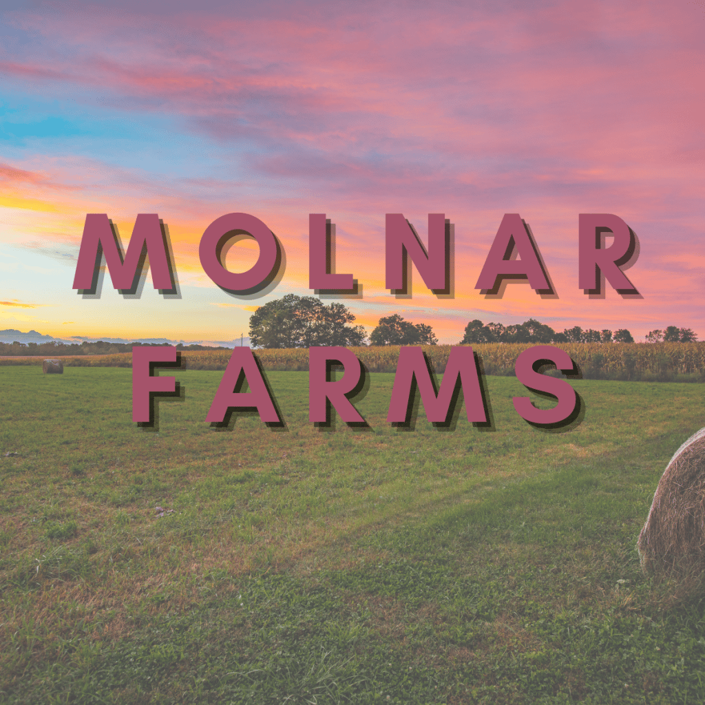 molnar-farms-visit-ohio-today