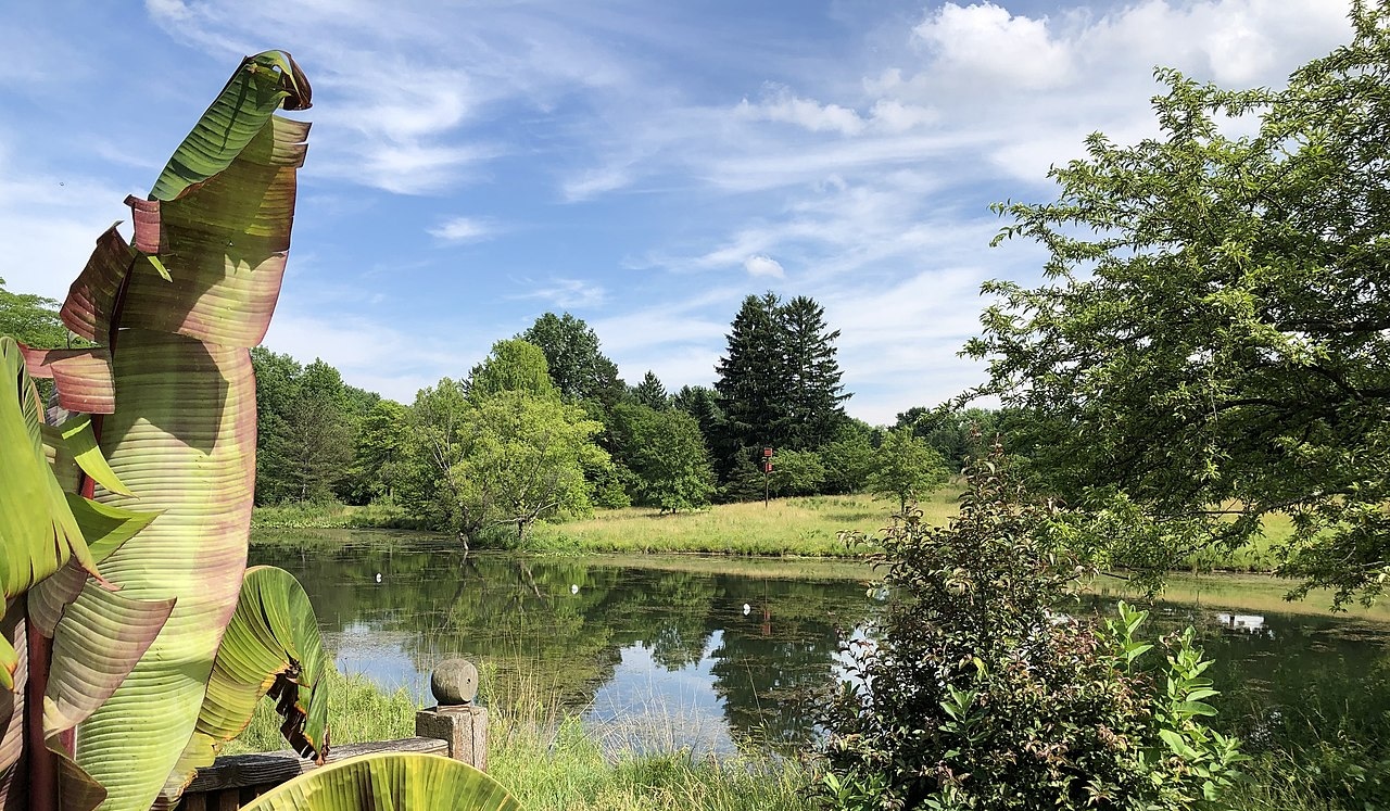 horizontal photo of a lake with a lot of trees, plants and grass around it at Toledo Botanical Garden. Image credit Mbrickn via Wikimedia Commons