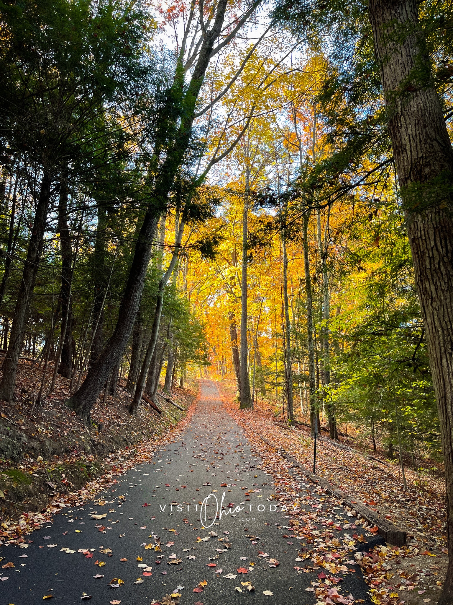 paved road with leaves on it and leading into a forest with glowing trees, fall season Photo credit: Cindy Gordon of VisitOhioToday.com