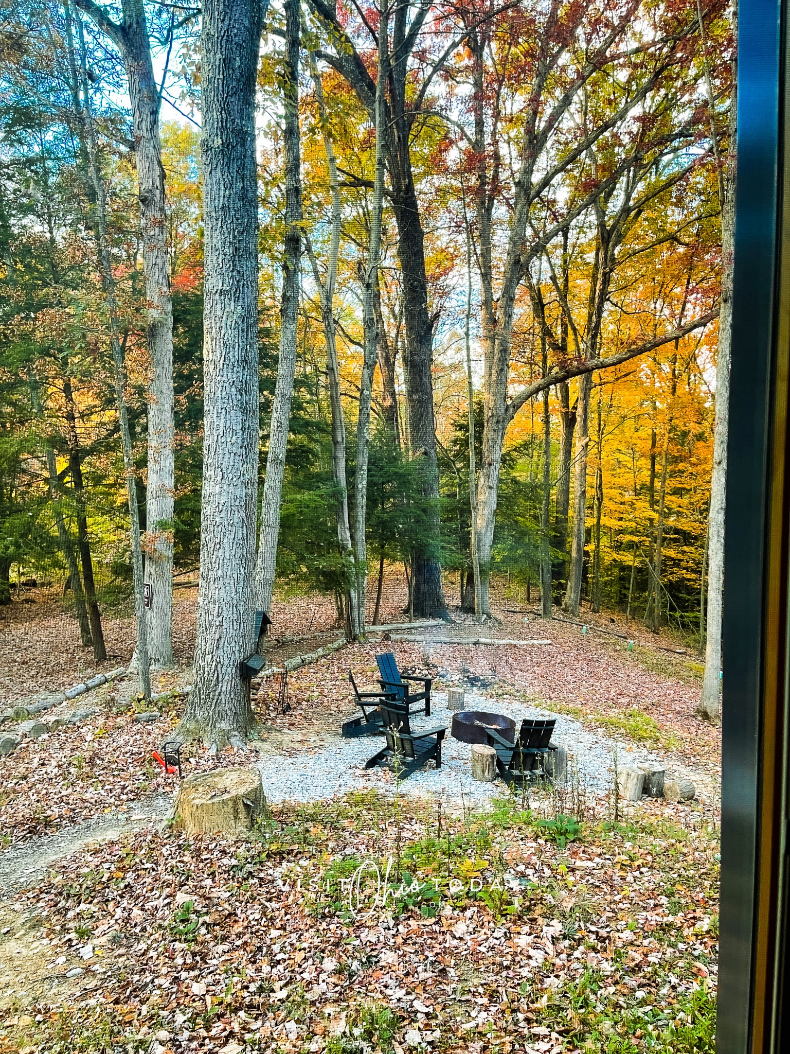 forest with fire pit and 4 chairs