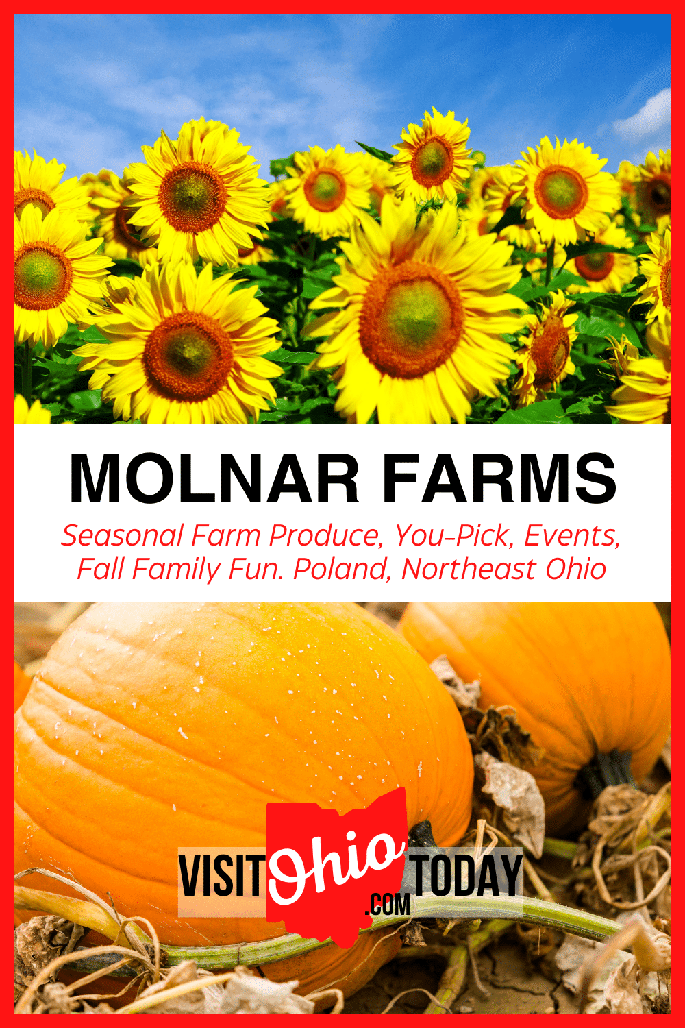 Molnar Farms is a small family-run business that is proud to provide the freshest, highest-quality fruits and vegetables! Pick your own and enjoy a family fun fall day out here!