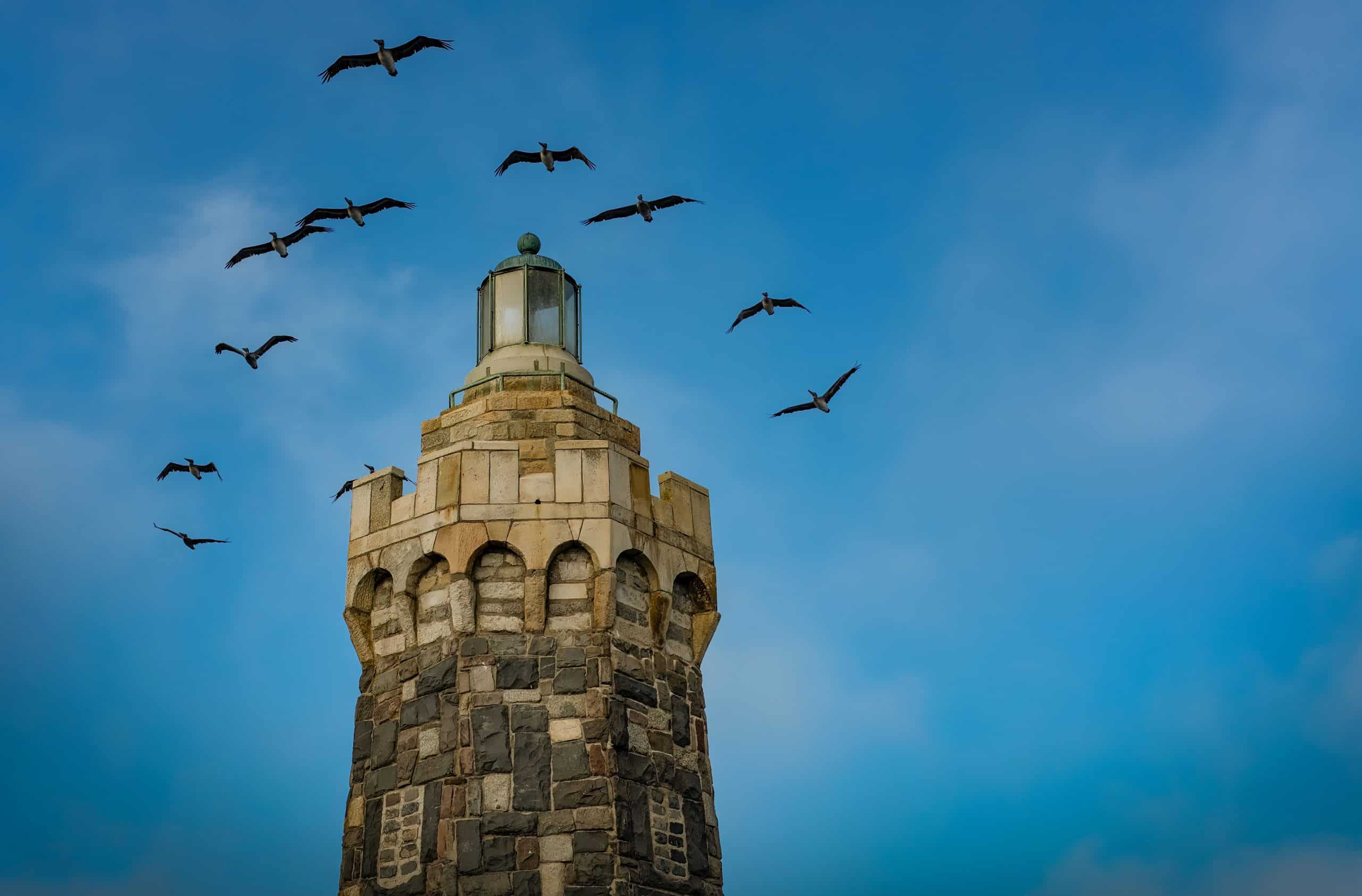 Birds flying over a lighthouse tower