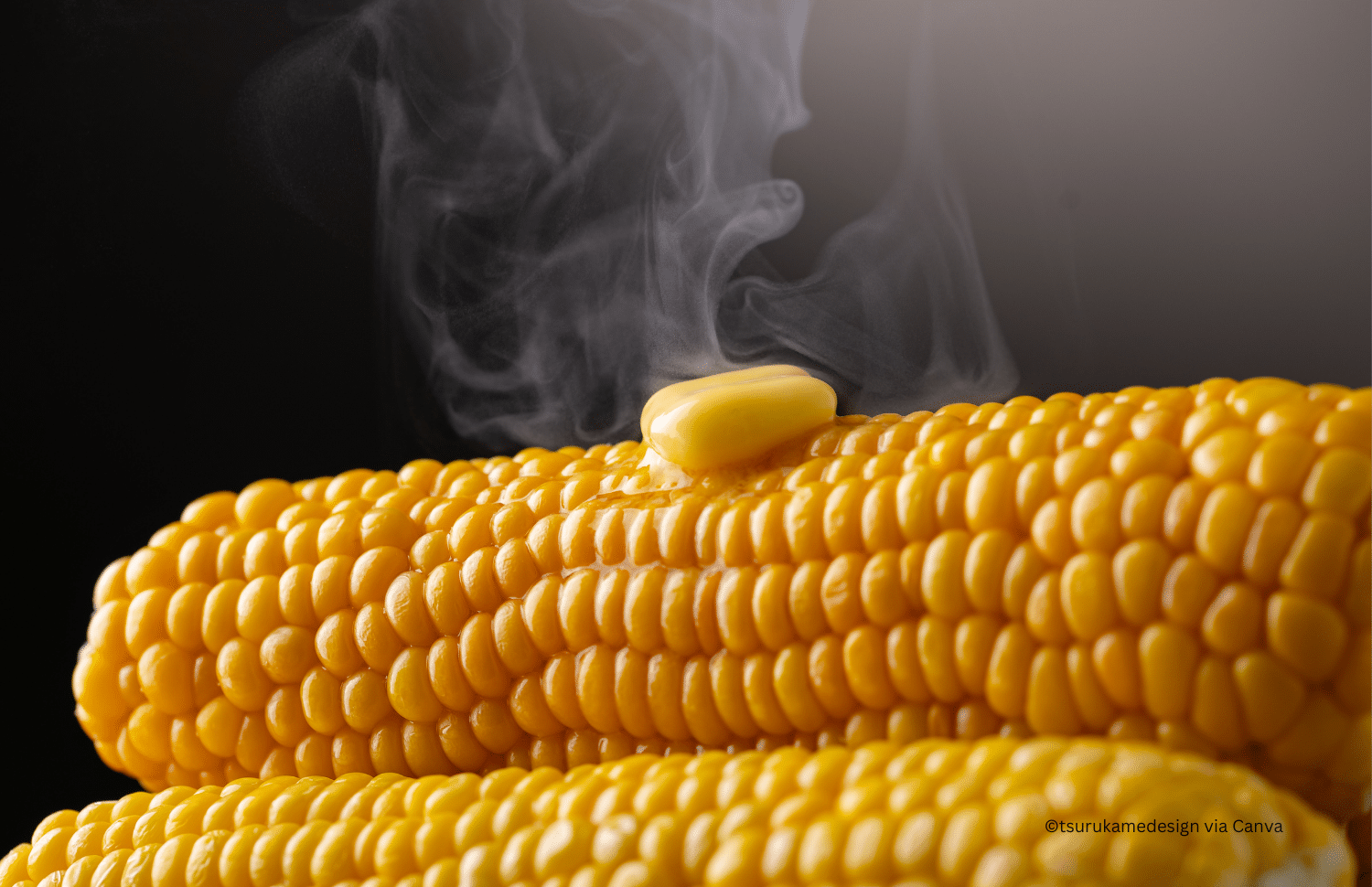 horizontal photo of two steaming, buttered corn cobs