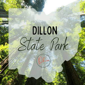Trees in a forest with an Ohio map silhouette. Text overlay says Dillon State Park