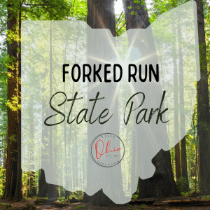 Trees in a forest with an Ohio map silhouette. Text overlay says Forked Run State Park
