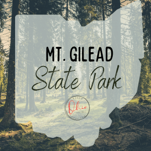 Trees in a forest with an Ohio map silhouette. Text overlay says Mt. Gilead State Park