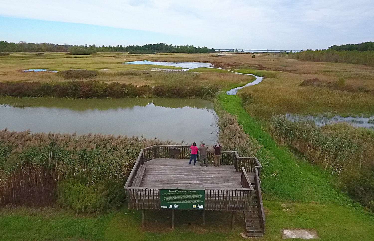 vertical photo of the observation platform at Pickerel Creek Wildlife Area