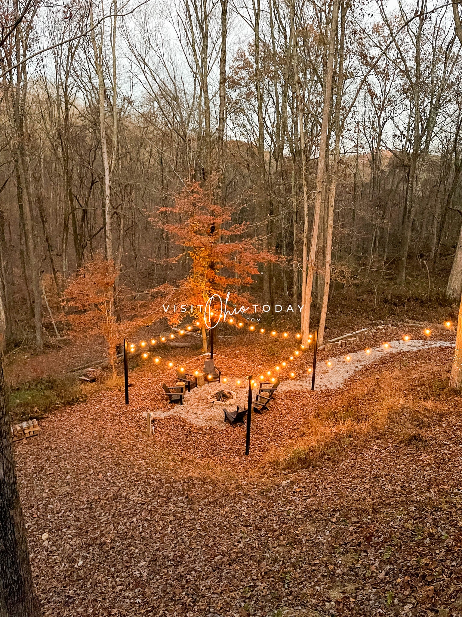 forest with fire pit area and lights around it Photo credit: Cindy Gordon of VisitOhioToday.com