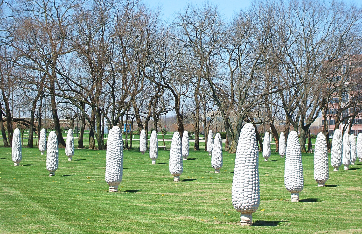 horizontal photo of the Field of Corn art installation in Dublin Ohio
