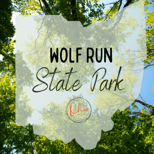 Trees in a forest with an Ohio map silhouette. Text overlay says Wolf Run State Park