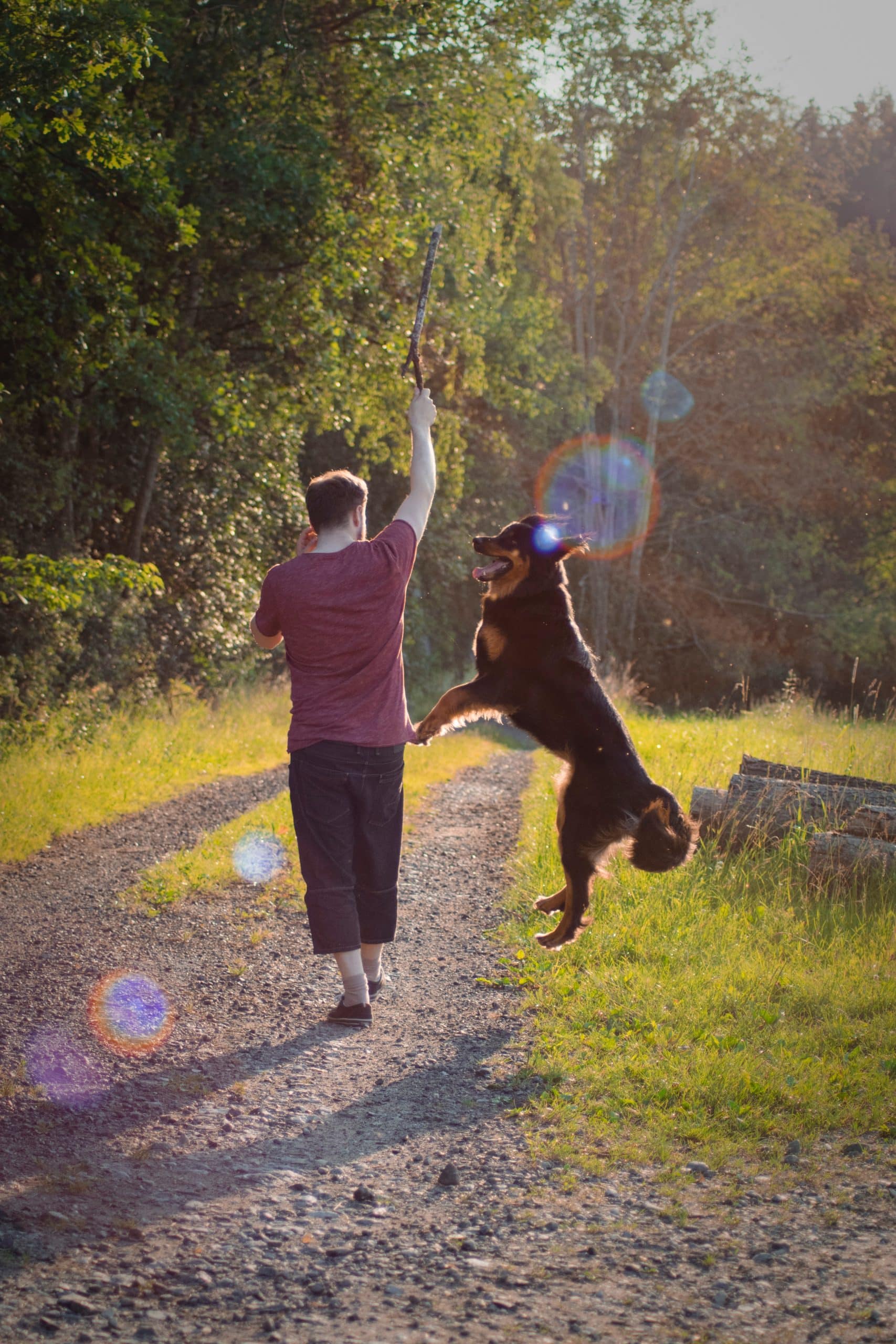 A male walking down a path with a dog jumping beside him