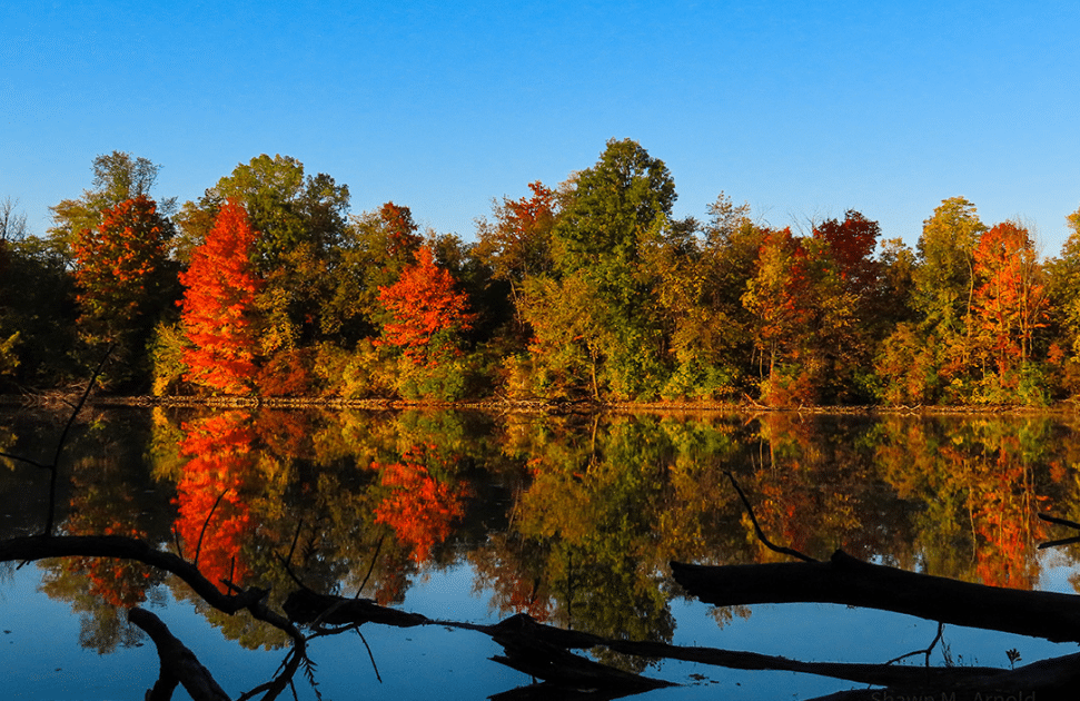 horizontal photo of Oakwoods Nature Preserve in Fall