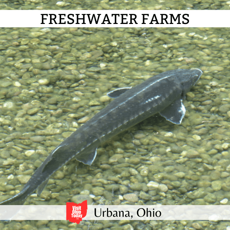 Freshwater Farms Ohio 