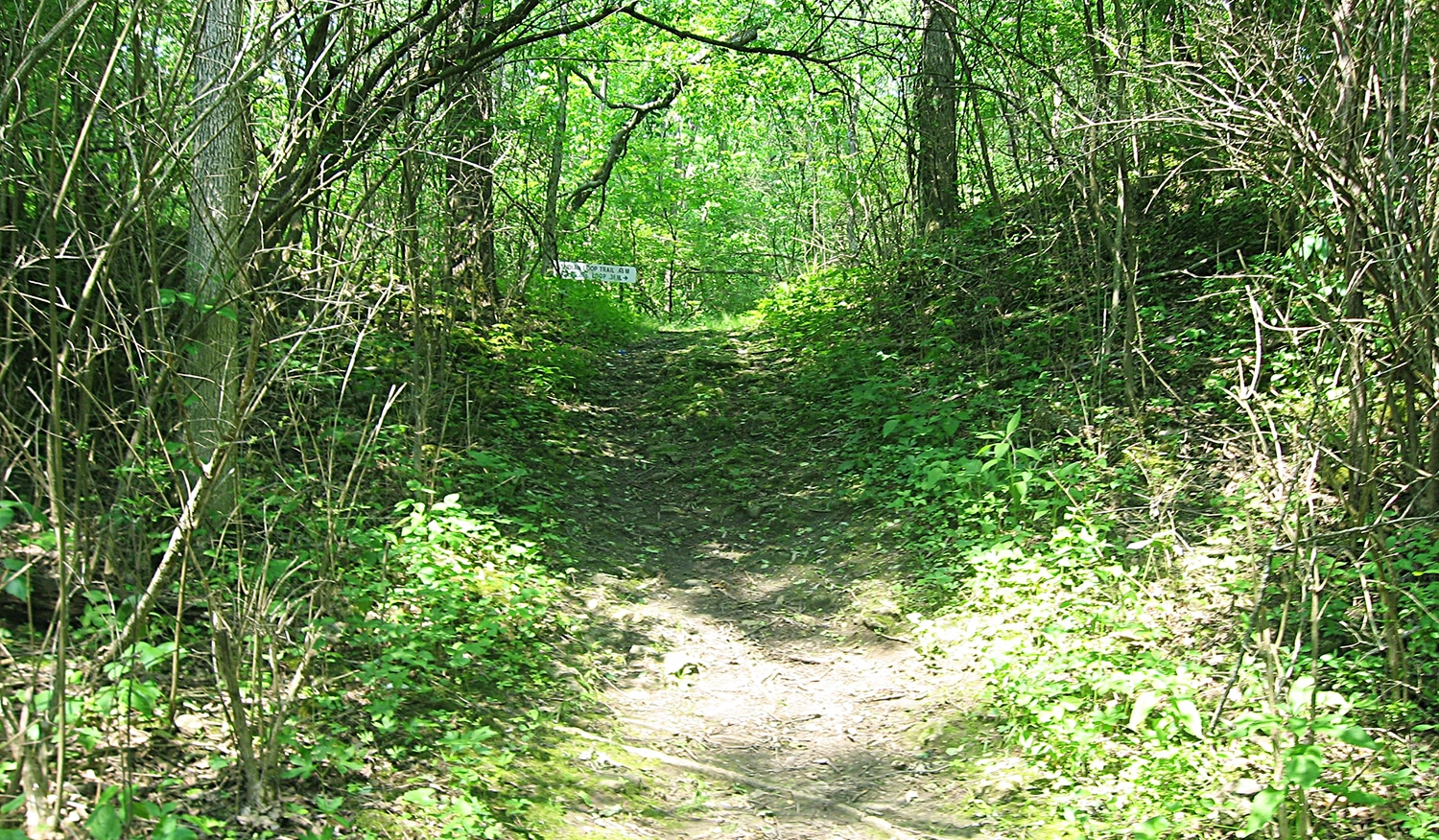 horizontal photo of the entrance to Pollock Works at Indian Mound Reserve. It is a trail and trees either side. Image in the Public Domain via Wikimedia Commons
