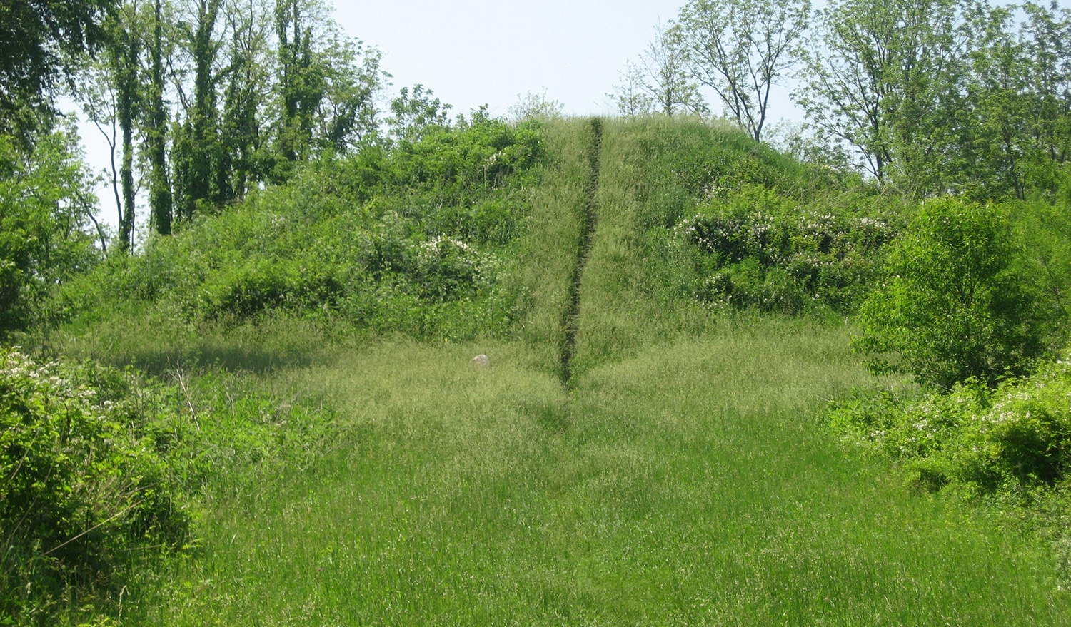 horizontal photo of williamson mound at Indian Mound Reserve. Image in the Public Domain, via Wikimedia Commons