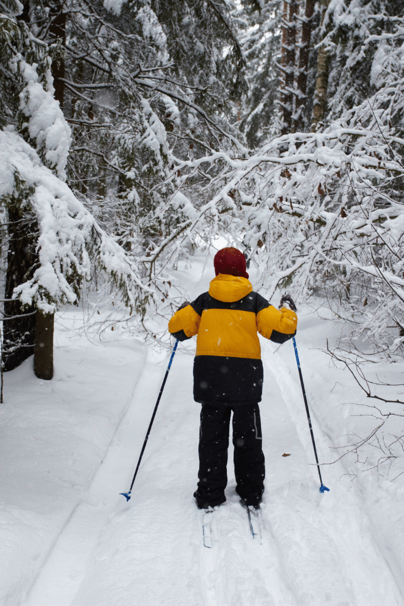 A person wearing a yellow ski jacket walking through snow covered trees