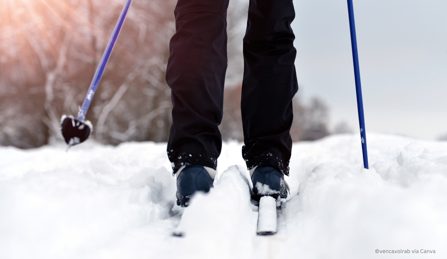 horizontal photo of the back view of the lower parts of the legs of someone cross-country skiing