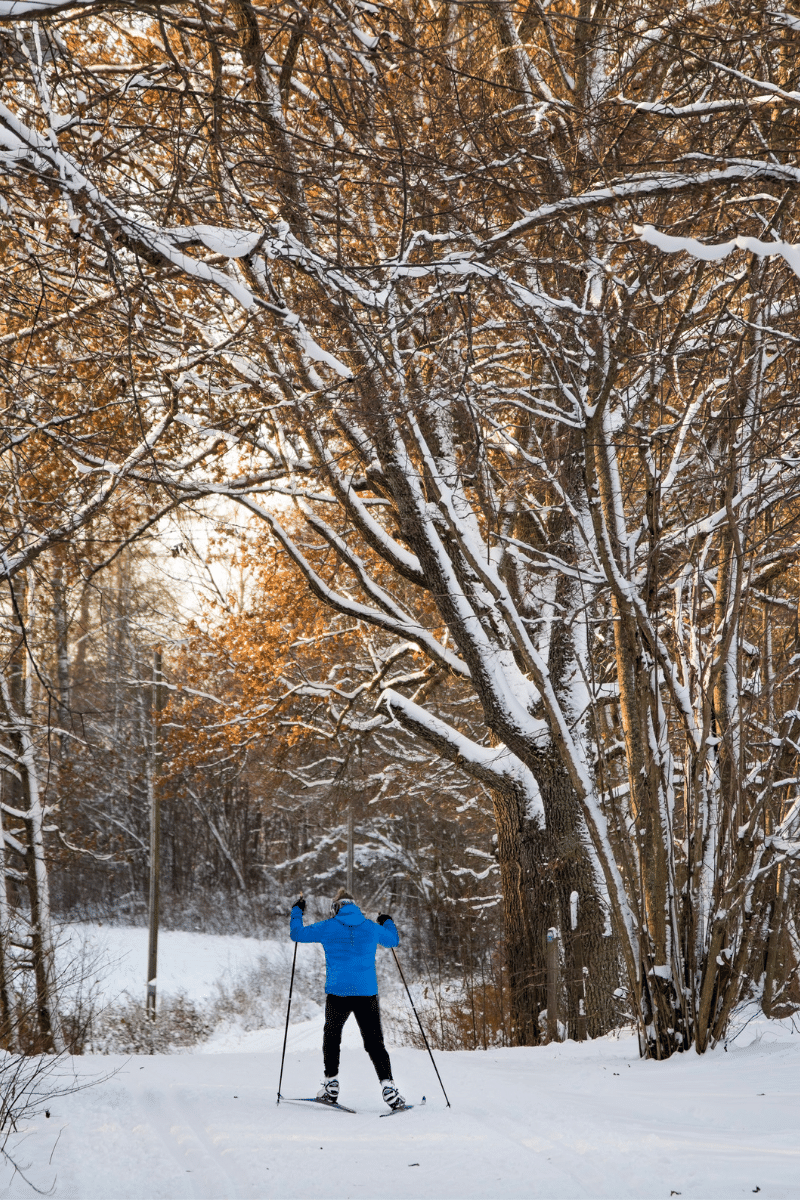 A person wearing a blue ski jacket walking through snow covered trees