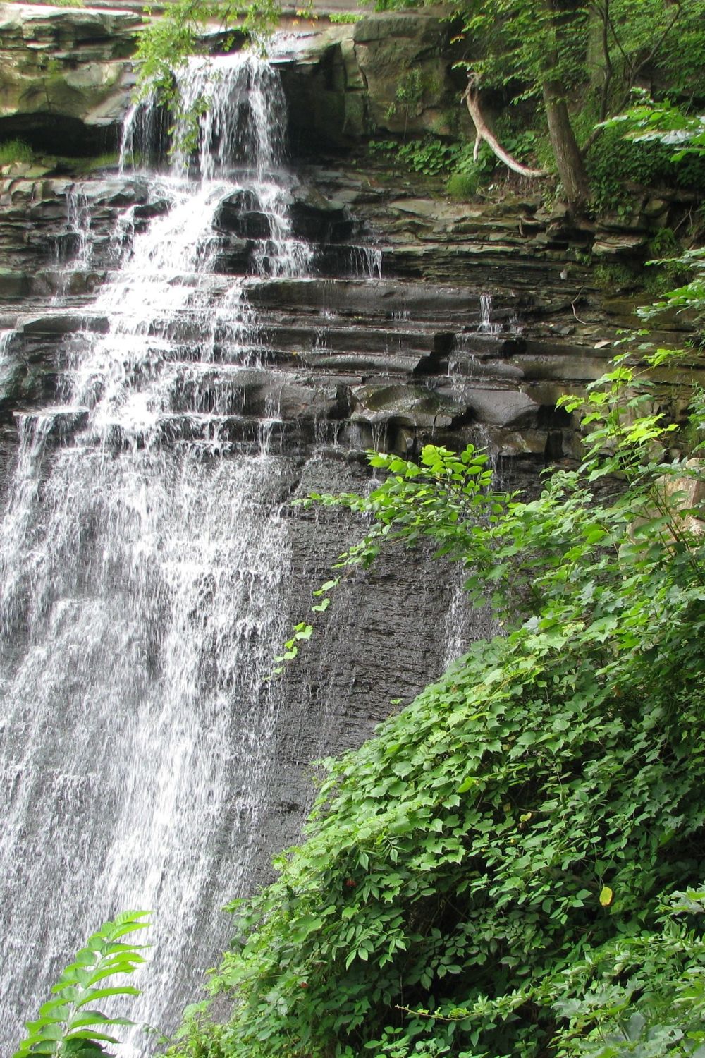 A photo of Brandywine Falls in Ohio