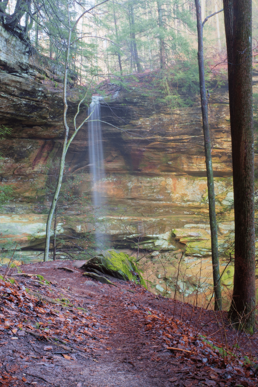 A waterfall in a wooded area with lots of coloured leaves on the ground