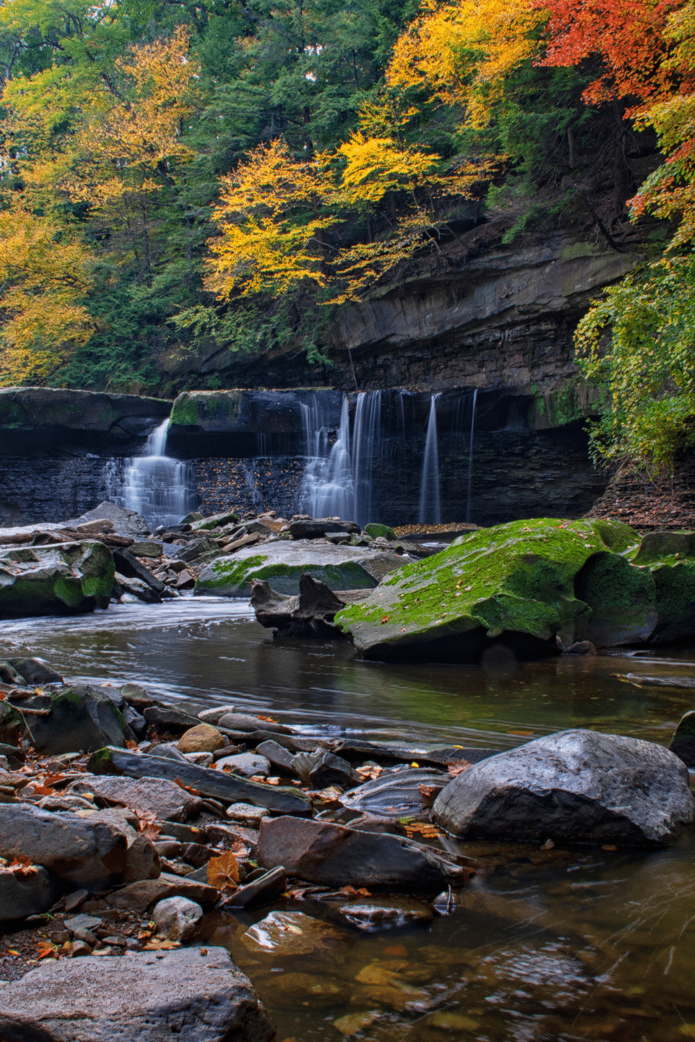 An image of the Great Falls Of Tinker's Creek waterfall. Colourful trees with yellow, orange and green leaves surround the waterfall