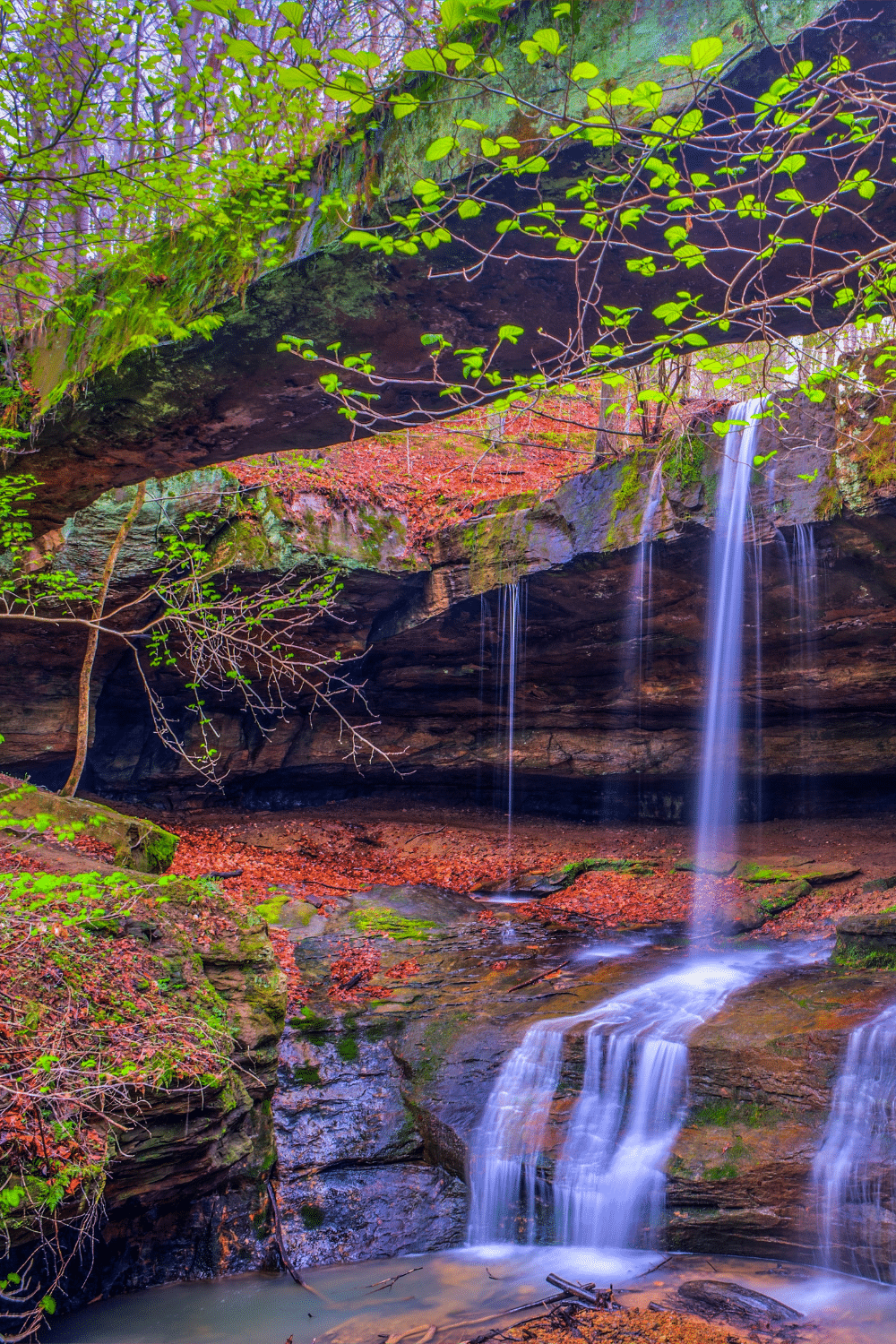 Water falling into a stream. Colourful leaves of red and green are scattered on the ground