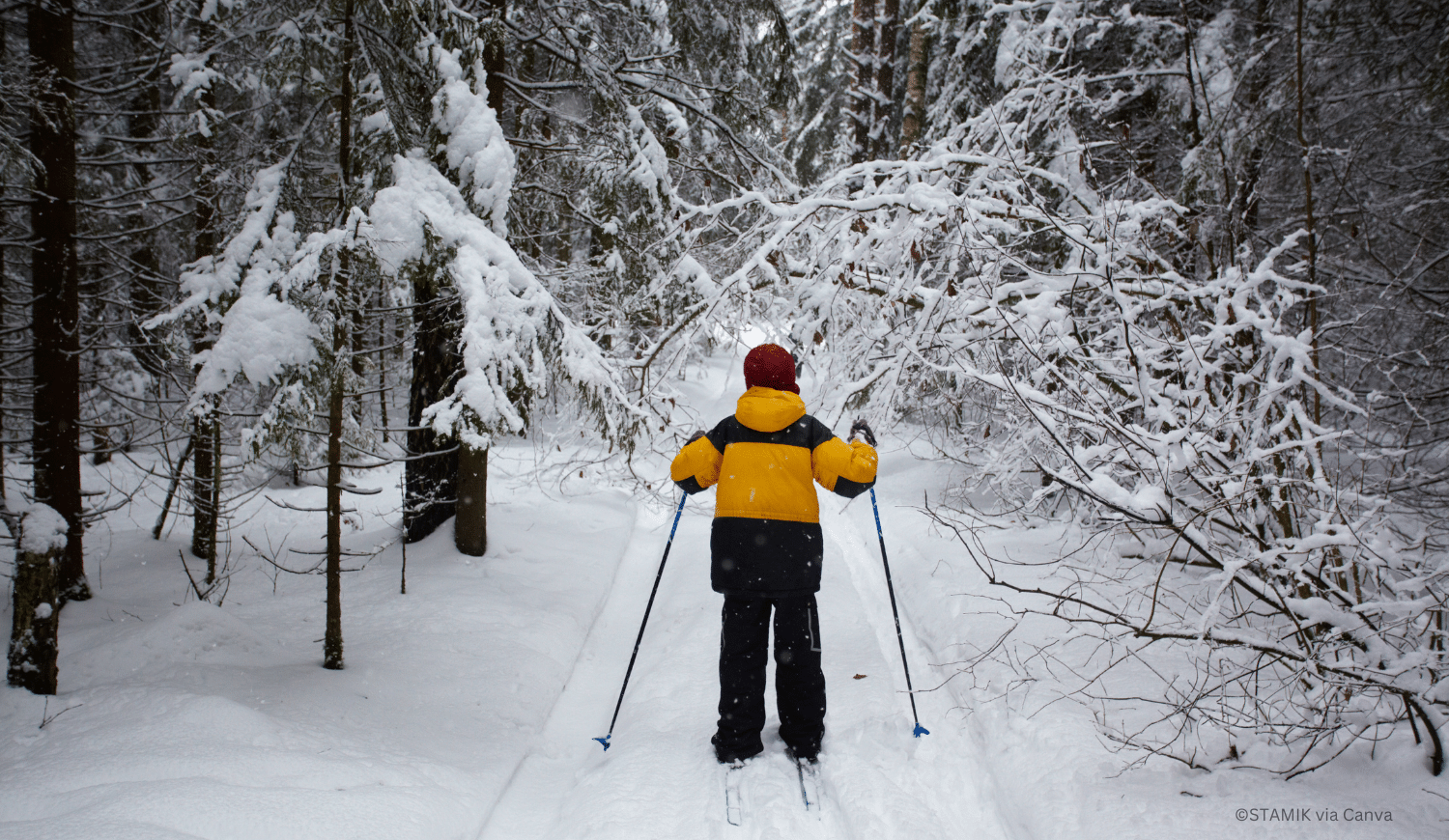 horizontal photo of the back view of a person cross-country skiing on a hiking trail path