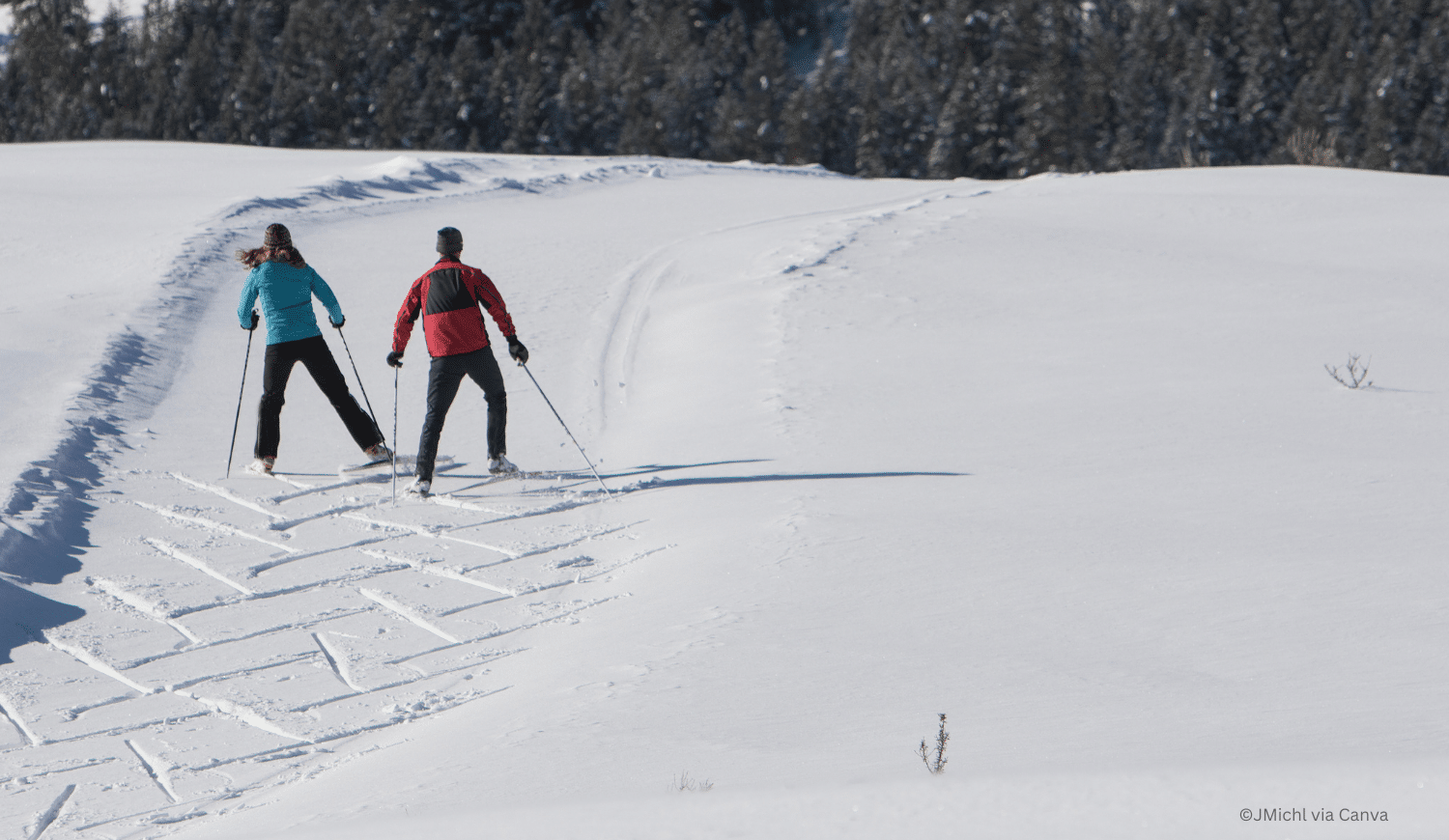 horizontal photo of the back view of two people cross country skiing, leaving a criss-cross trail with their skis