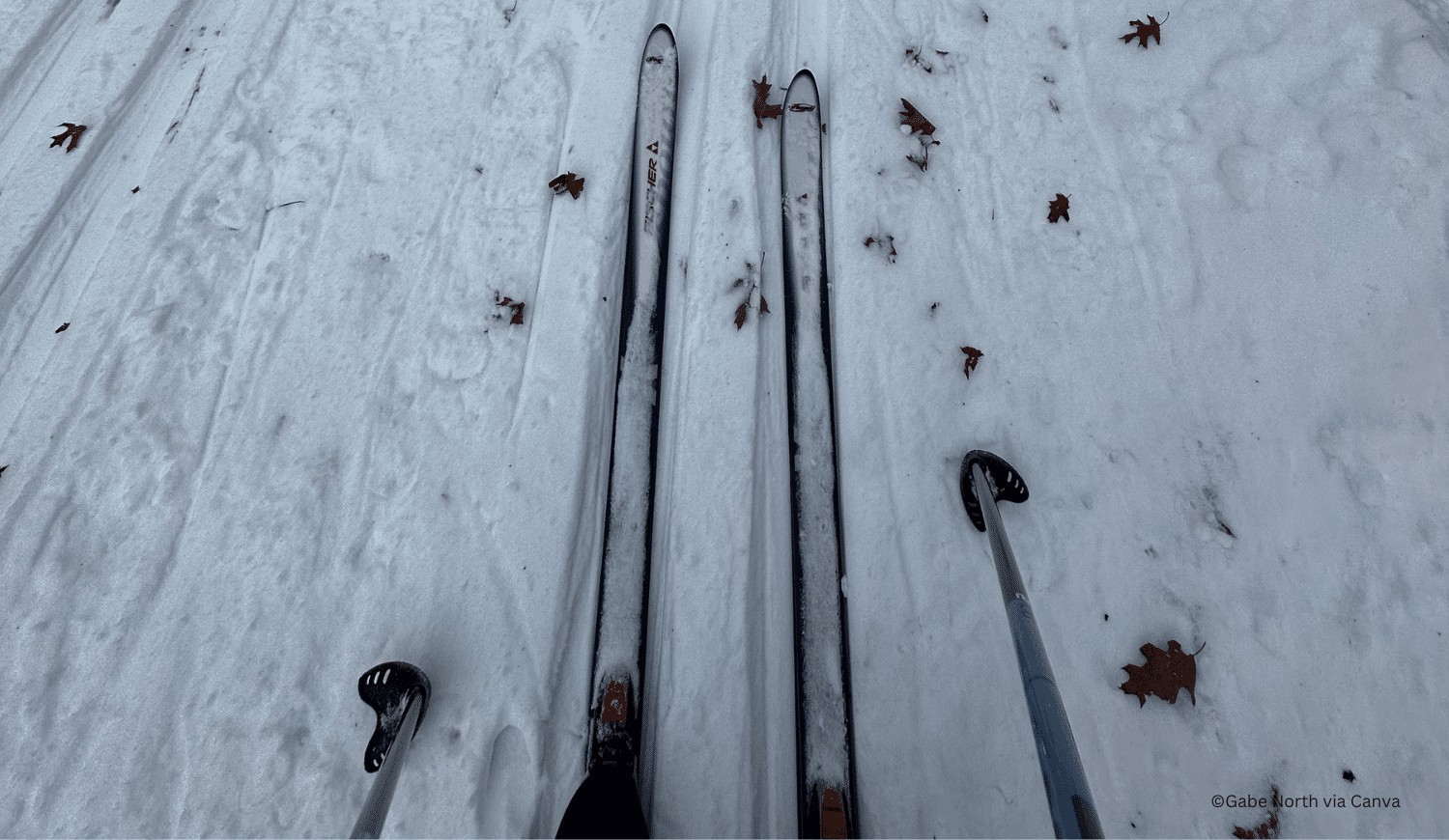 horizontal photo of the fronts of skis looking down on them