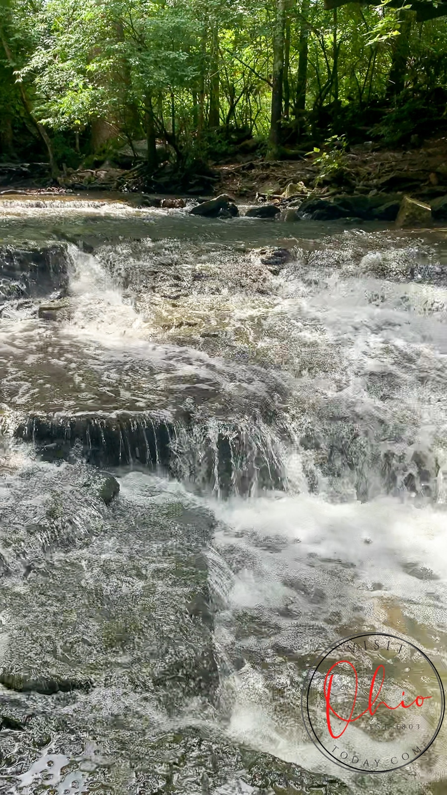 Water cascading over rocks. At the top are lots of trees with green leaves