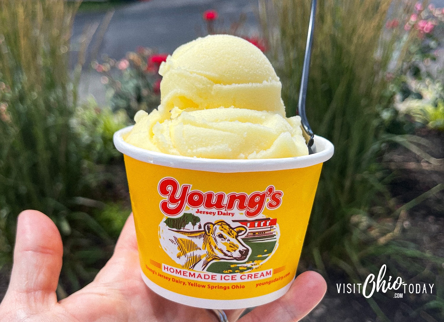 horizontal photo of a hand holding a yellow tub containing ice cream Photo credit: Cindy Gordon of VisitOhioToday.com