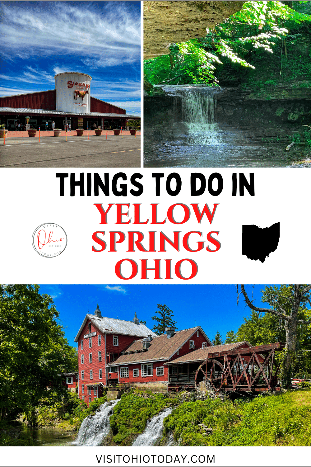 vertical image for pinterest with photos of young's jersey dairy, glen helen nature preserve and clifton mill. A white strip across the middle has the text Things to do in Yellow Springs Ohio and a black map of Ohio and the visitohiotoday round logo