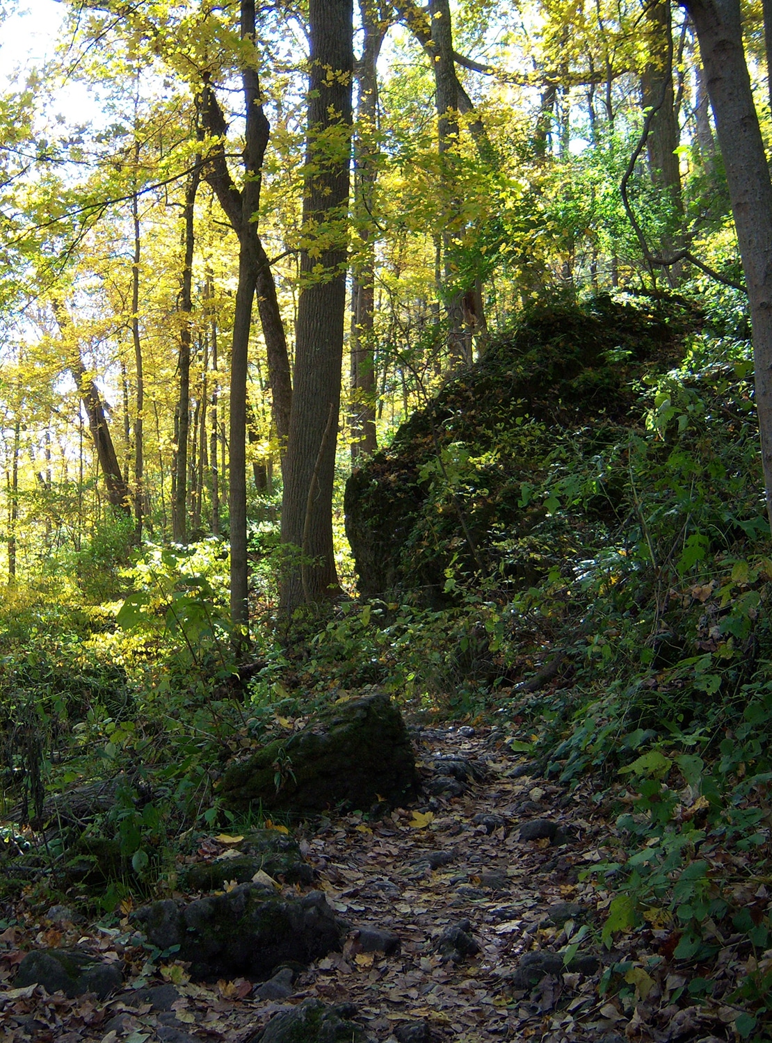 vertical photo of a narrow dirt trail between rocks and trees at John Bryan State Park