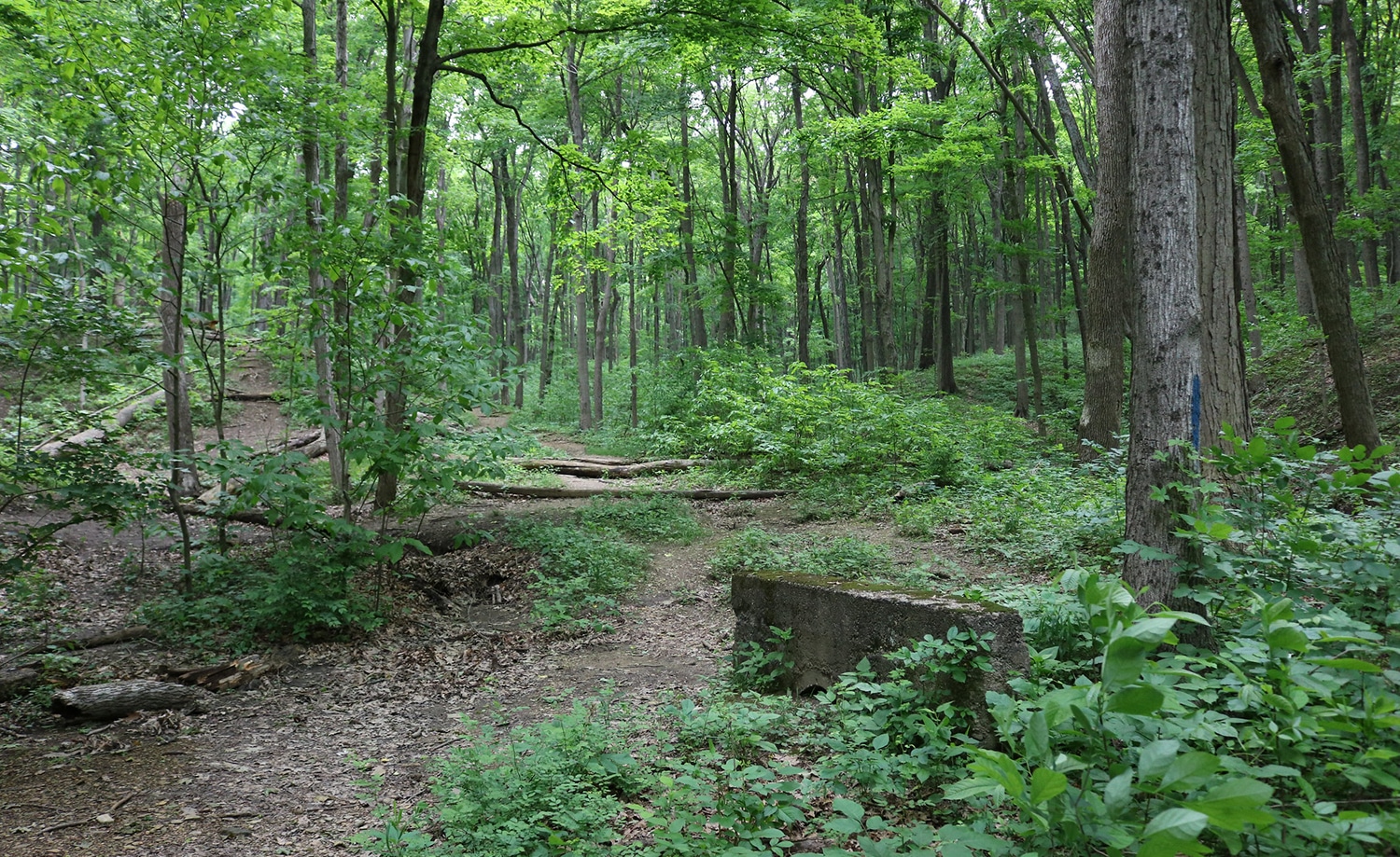 horizontal photo of trail at great seal state park - for things to do in Chillicothe ohil