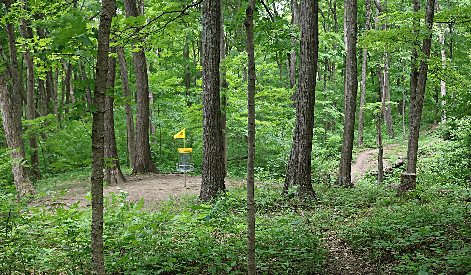 horizontal photo of part of a trail at Great Seal State Park