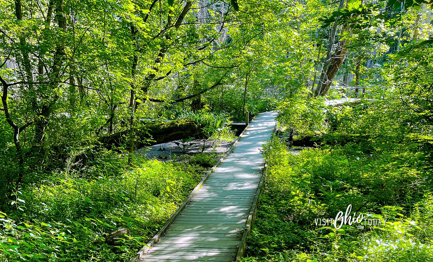 horizontal photo of a boardwalk along a trail at Glen Helen Nature Preserve. Photo credit: Cindy Gordon of VisitOhioToday.com
