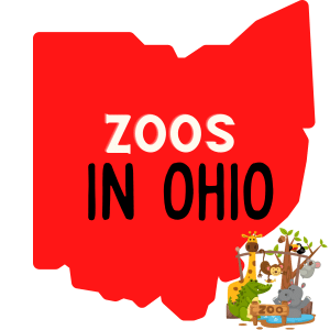 A red image of the Ohio map silhouette with a text overlay saying zoos in ohio. A cartoon graphic of a group of zoo animals is in the bottom right of the image