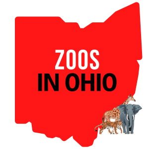 Zoos In Ohio