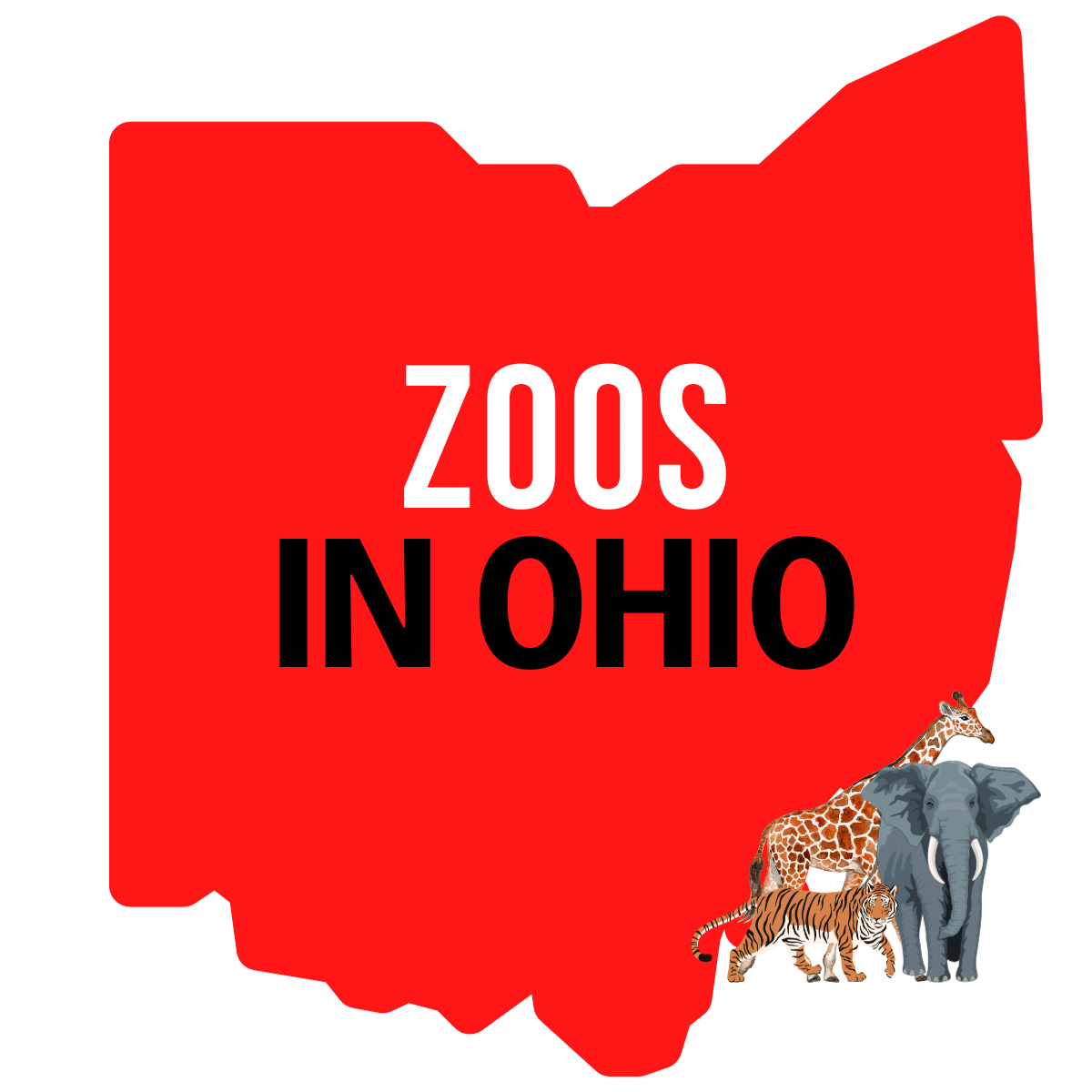 Zoos In Ohio Visit Ohio Today Zoos In Ohio Visit Ohio Today