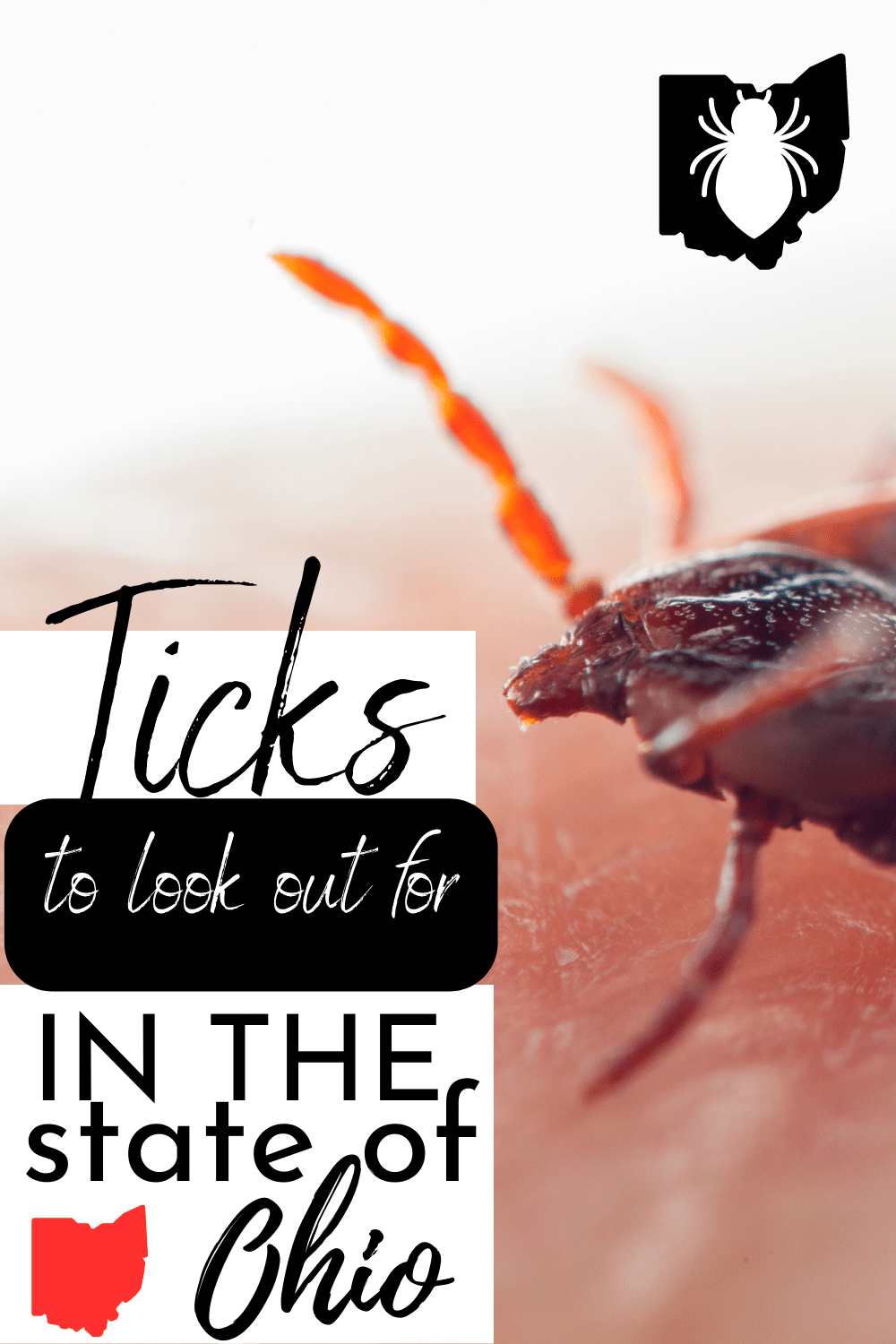 We can find ticks everywhere, except for places of Tundra. If you would like to more about ticks in Ohio, we can help you identify them. | Ticks In Ohio | Ohio Ticks | Animals In Ohio