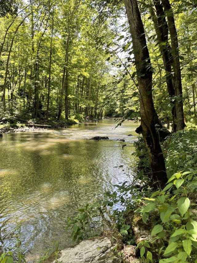 Things to do in Yellow Springs Ohio