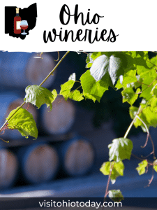 Vertical image of blurred wine barrels in the distance with green grapevine leave in front of them. Text overlay says discover the best ohio wineries