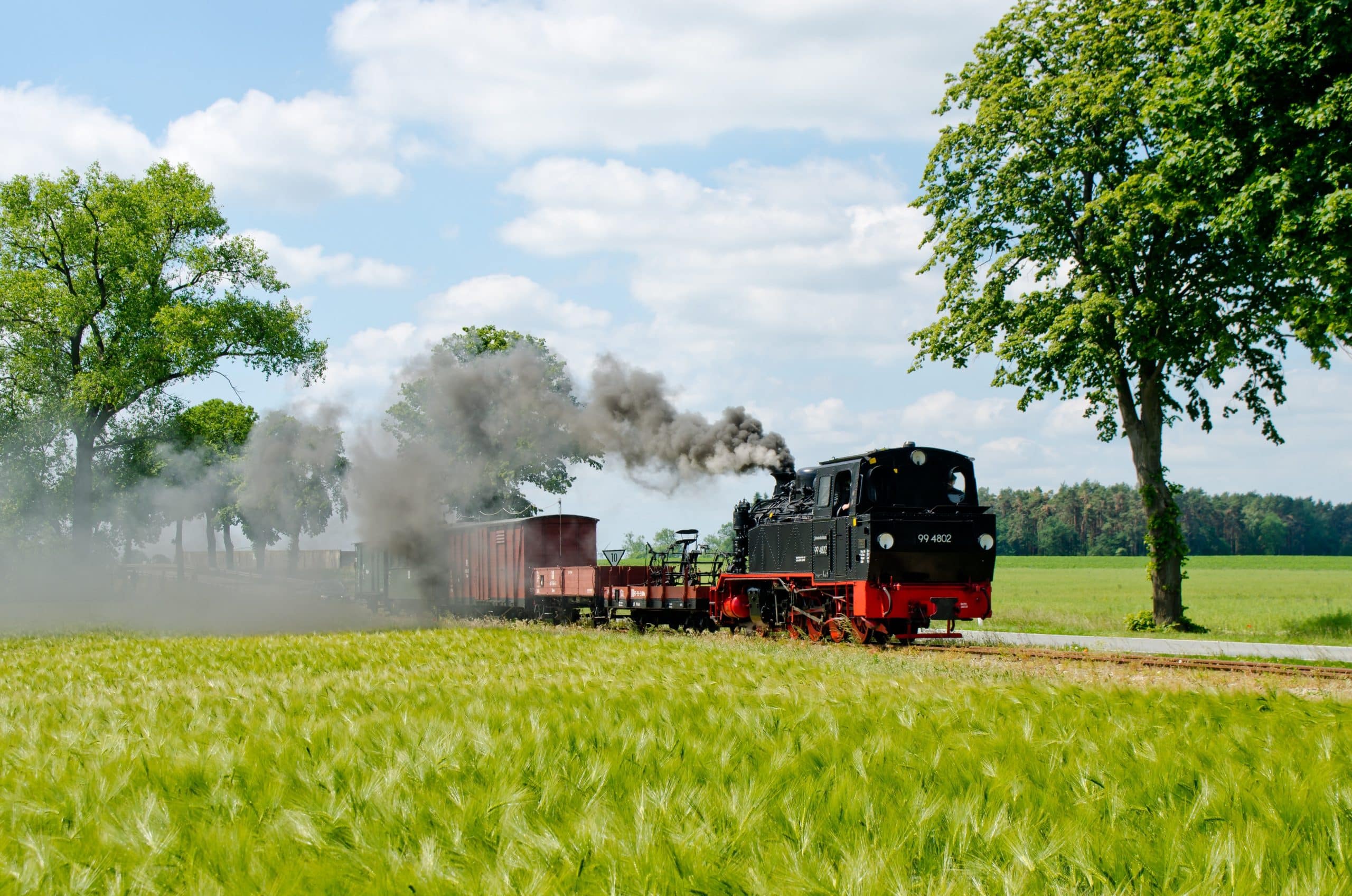 A steam train going through a park