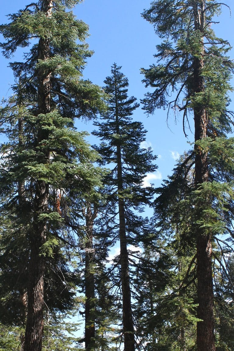 Things To Do In Mason Ohio Visit Ohio Today