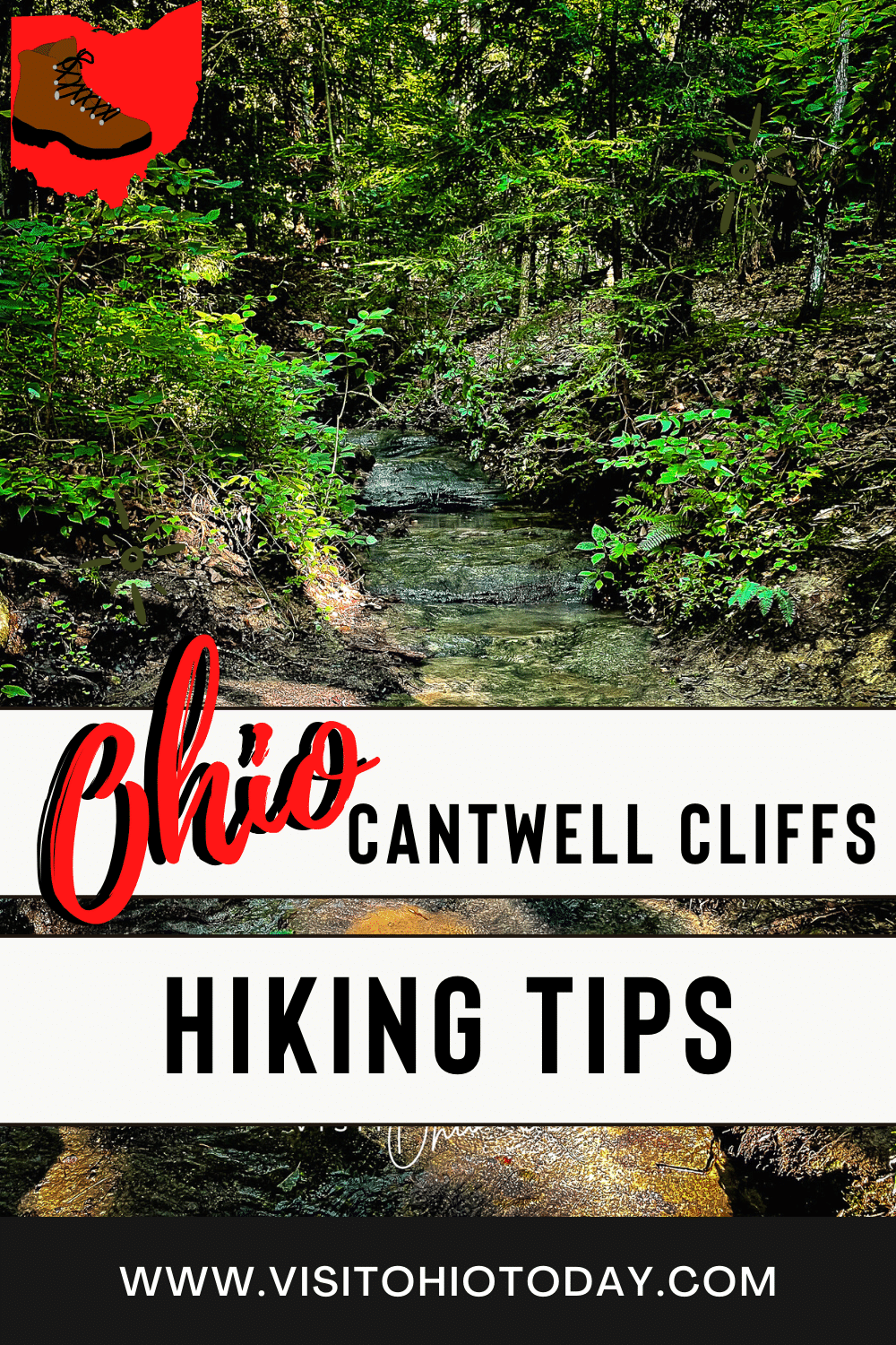 vertical photo of a wooded area in Cantwell Cliffs. Text overlay says ohio cantwell cliffs hiking tips