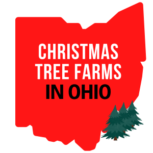 Christmas Tree Farms In Ohio