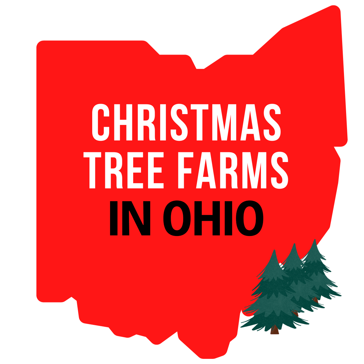 Christmas Tree Farms In Ohio Visit Ohio Today