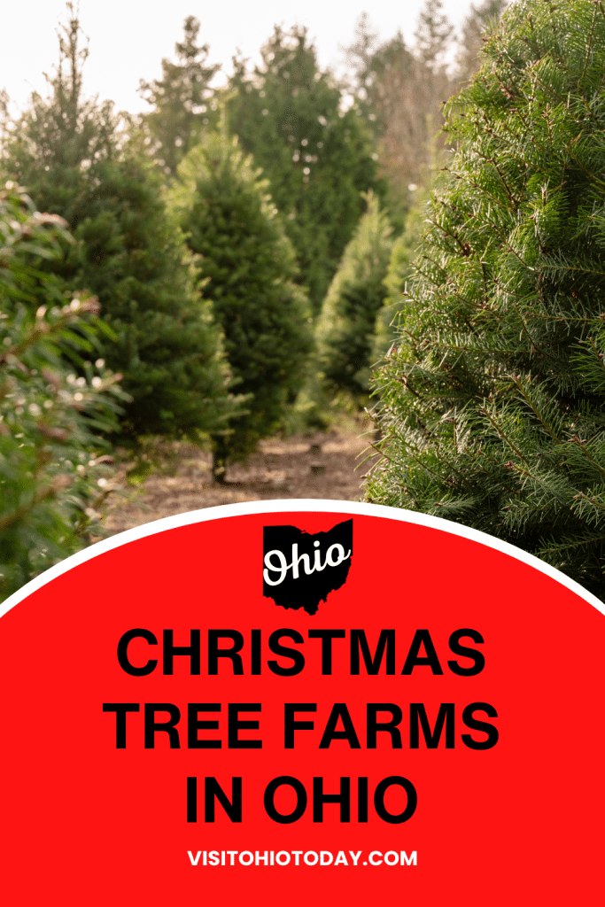 Christmas Tree Farms In Ohio Visit Ohio Today