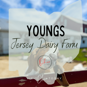 A photo of a goat with its head on a fence. Map image of Ohio with text overlay saying Youngs Jersey Dairy Farm