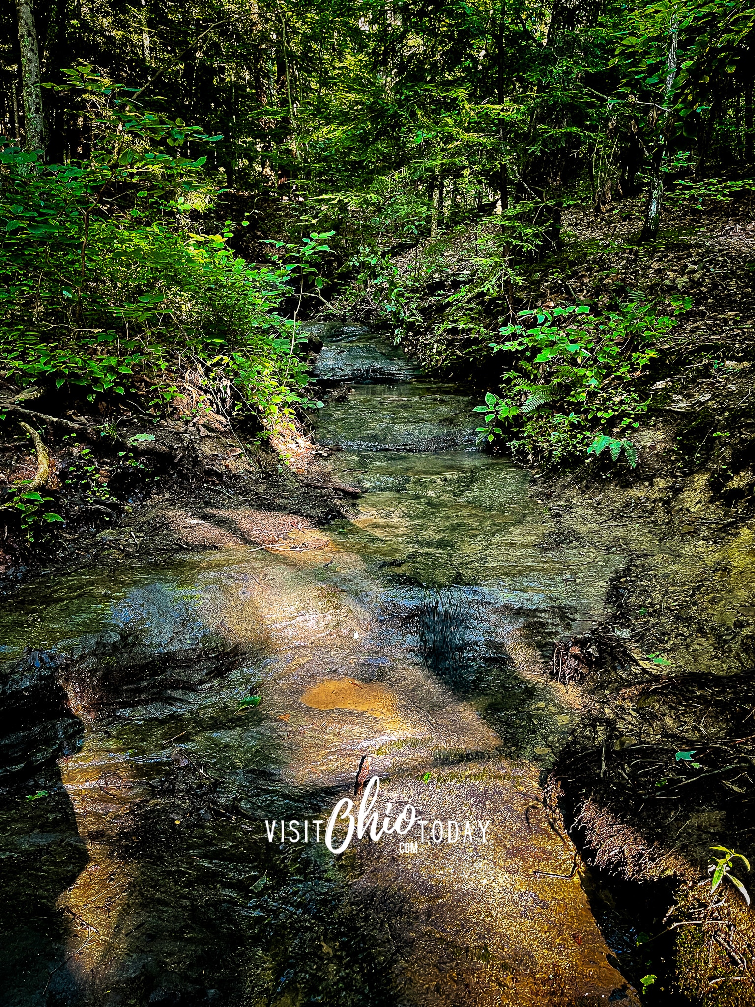 vertical photo of water running over rocks at Cantwell Cliffs, with foliage each side
